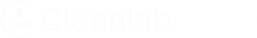 Cleanlab Logo